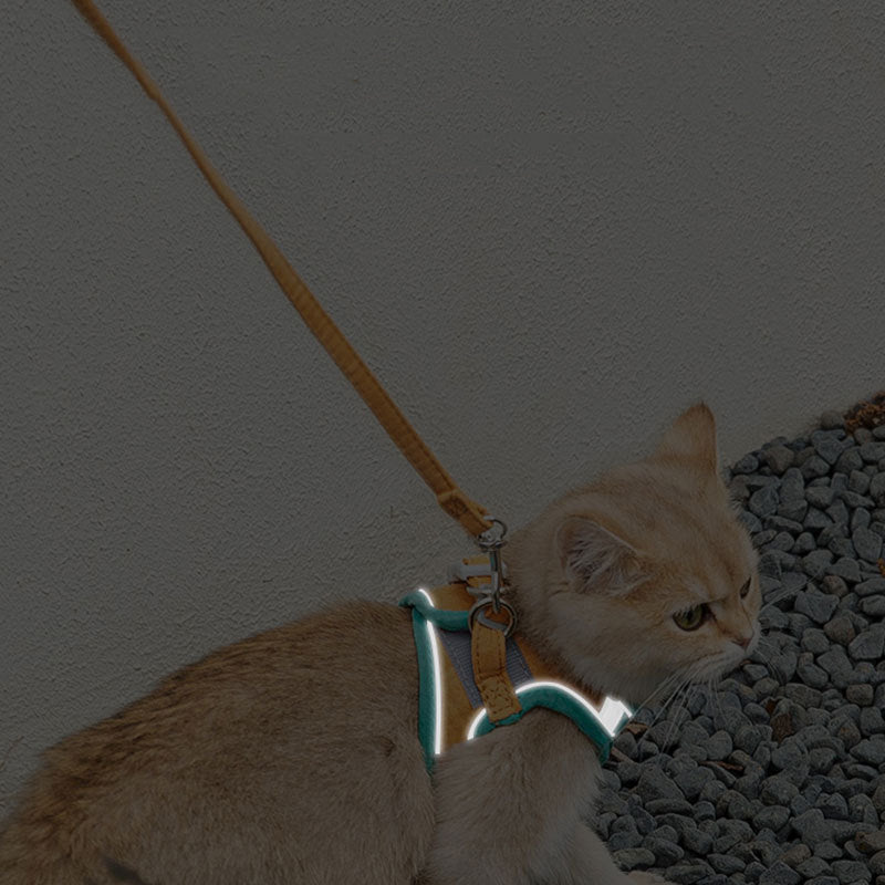 Reflective Chest Harness & Leash