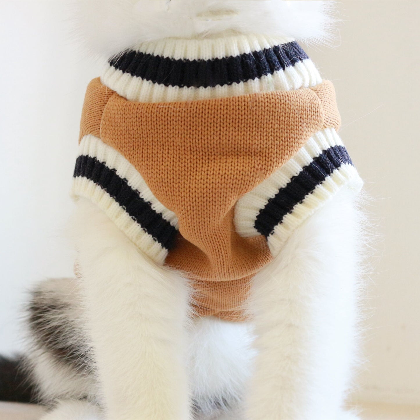 Boarding School Cat Sweater Vest