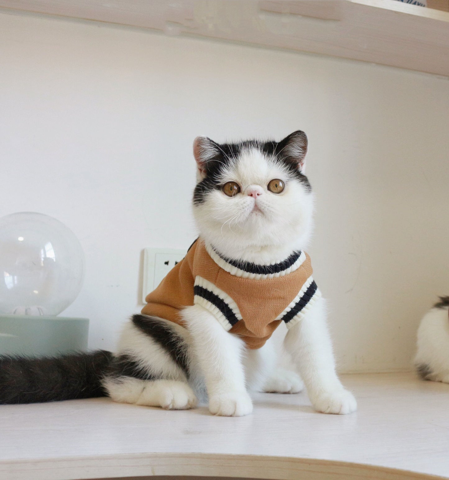 Boarding School Cat Sweater Vest
