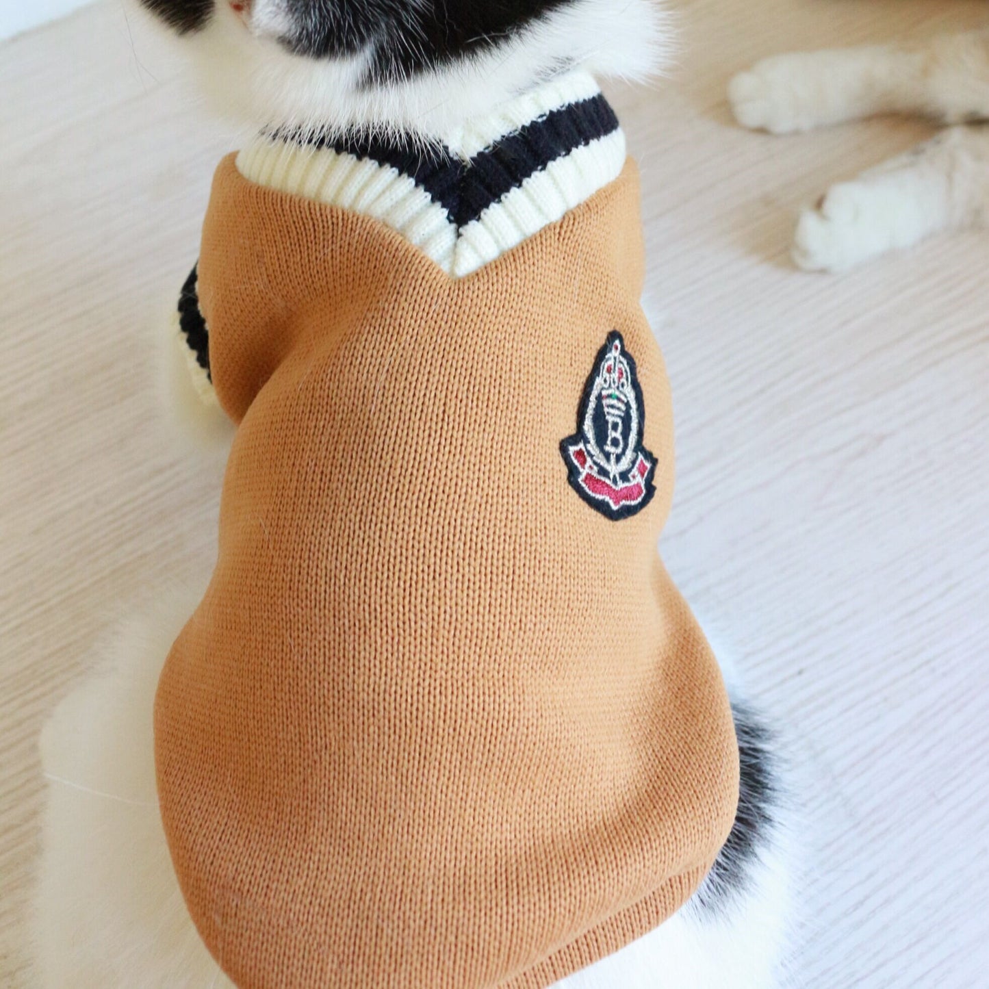 Boarding School Cat Sweater Vest