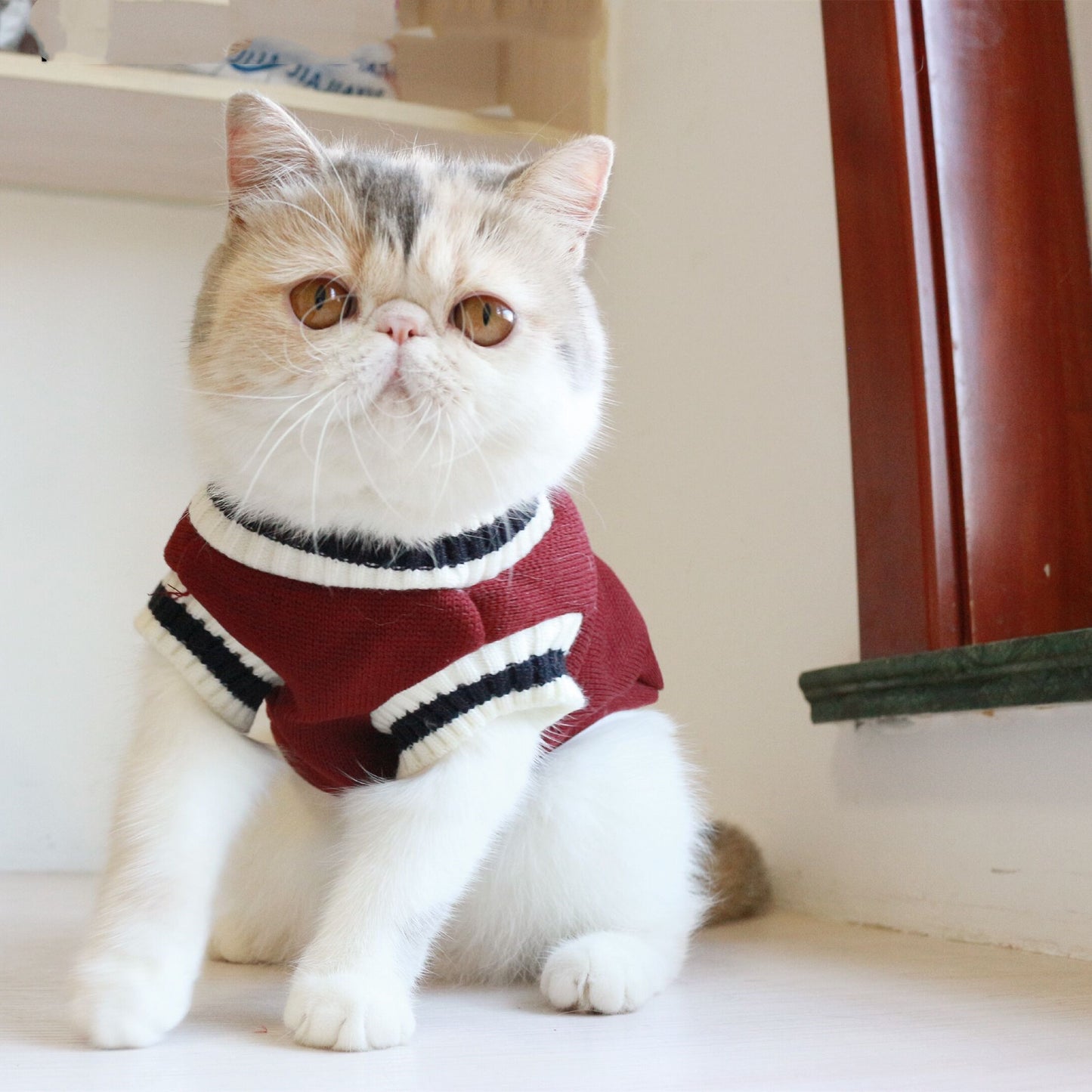 Boarding School Cat Sweater Vest