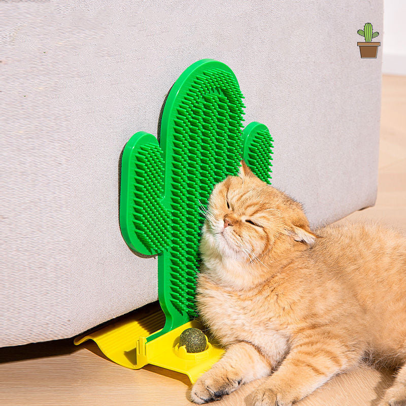 Self-Grooming Cactus Hair Brush Corner