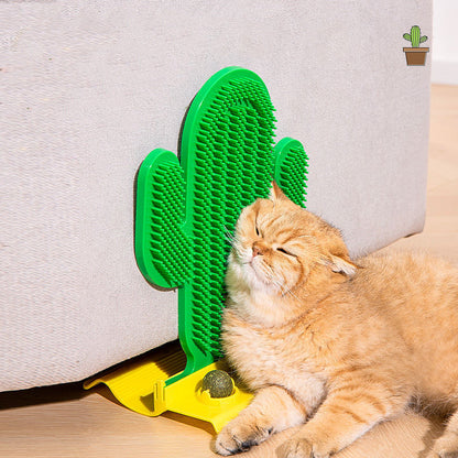 Self-Grooming Cactus Hair Brush Corner