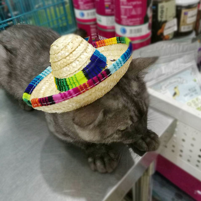 Mini Fiesta Cat Straw Hat