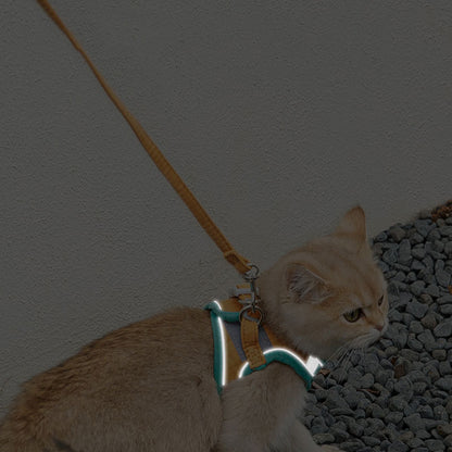 Reflective Chest Harness & Leash