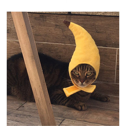 Cat Banana Head