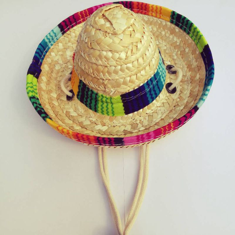 Mini Fiesta Cat Straw Hat