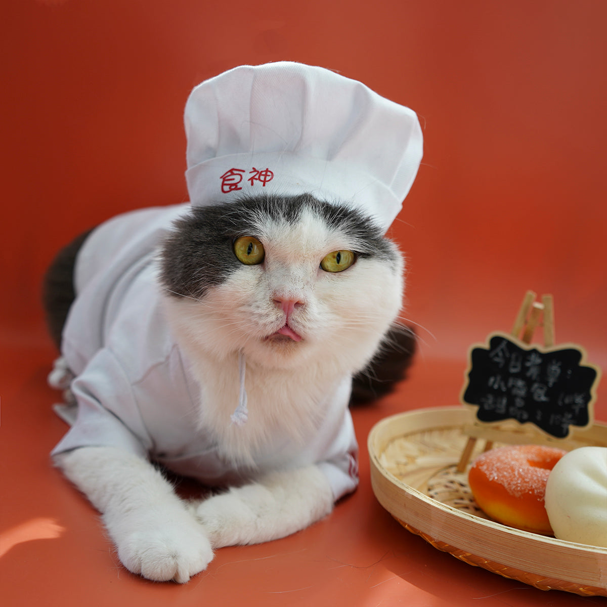 Mini Chef