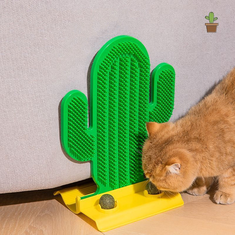 Self-Grooming Cactus Hair Brush Corner